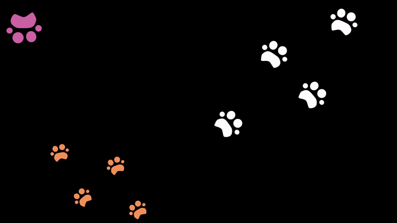GIF of animation part 1-1.